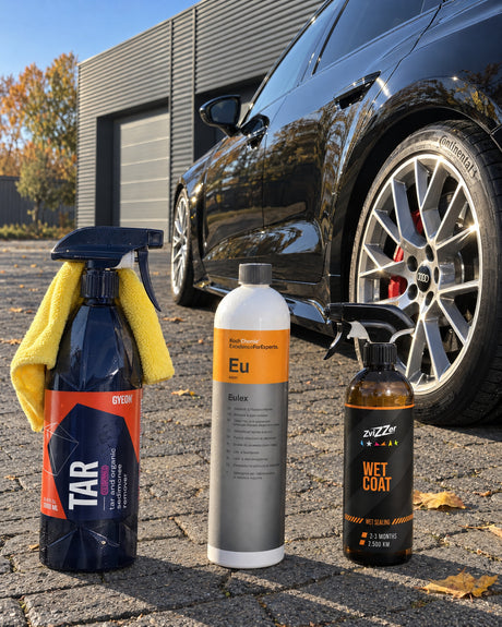 Detailing1 Set gegen Baumharz — GYEON Q²M Tar, Koch-Chemie Eulex "Eu" und ZviZZer Wet Coat vor dem Audi RS 5