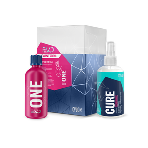 Q² One EVO Paint Coating Keramikversiegelung für Lack