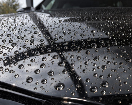 Detailing1 résultat sur une BMW M5 noire — perles d'eau rondes sur le capot fraîchement protégé